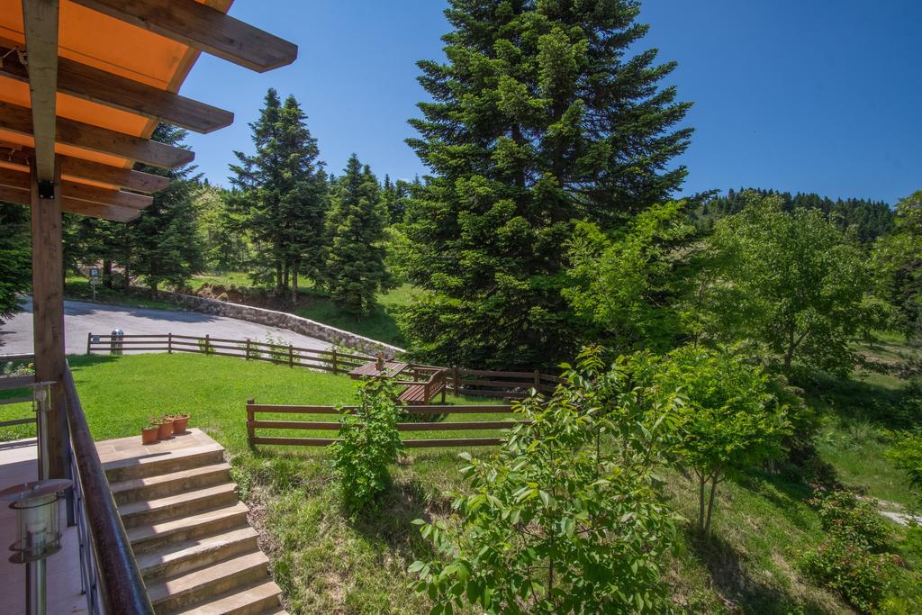 Orizontes Tzoumerkon Hotel Resort Pramanta Bagian luar foto