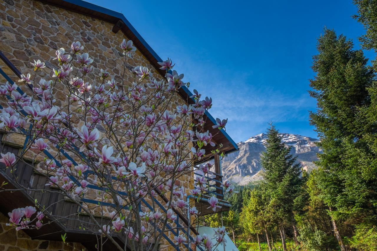 Orizontes Tzoumerkon Hotel Resort Pramanta Bagian luar foto