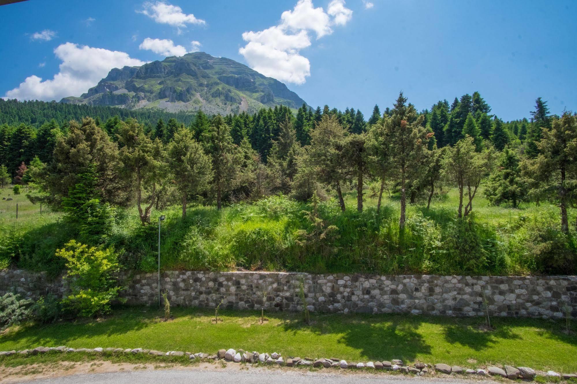 Orizontes Tzoumerkon Hotel Resort Pramanta Bagian luar foto